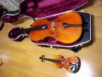 cello2.jpg